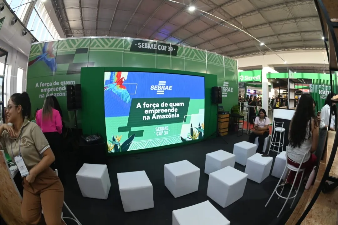 Feira 2025 (7)